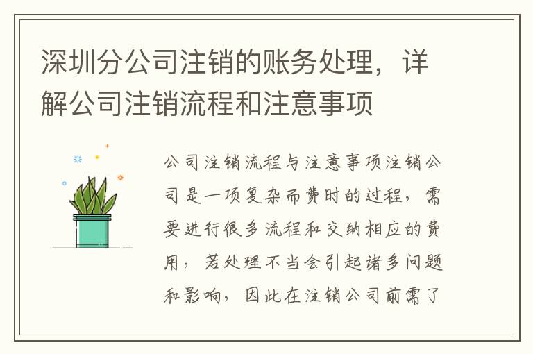 深圳分公司注銷的賬務處理，詳解公司注銷流程和注意事項