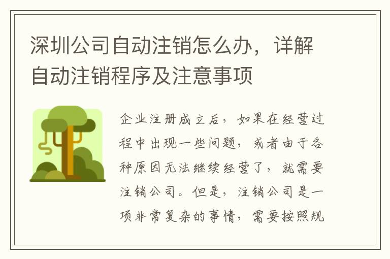 深圳公司自動(dòng)注銷(xiāo)怎么辦，詳解自動(dòng)注銷(xiāo)程序及注意事項(xiàng)