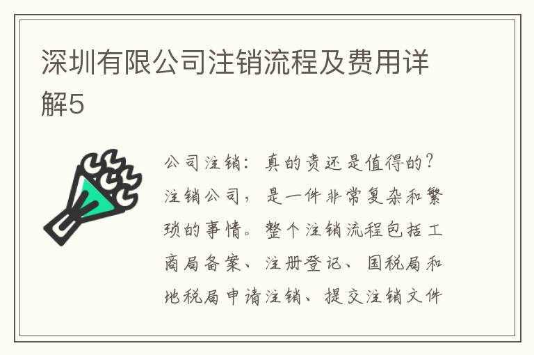 深圳有限公司注銷流程及費(fèi)用詳解5