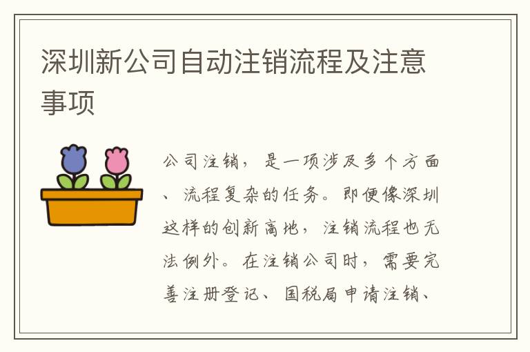 深圳新公司自動注銷流程及注意事項