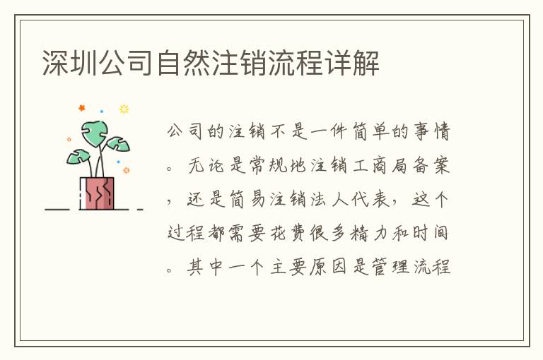深圳公司自然注銷流程詳解