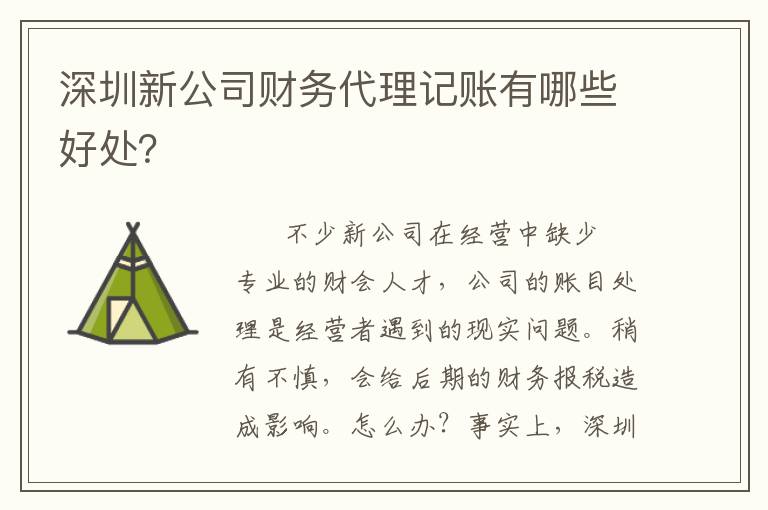 深圳新公司財(cái)務(wù)代理記賬有哪些好處？