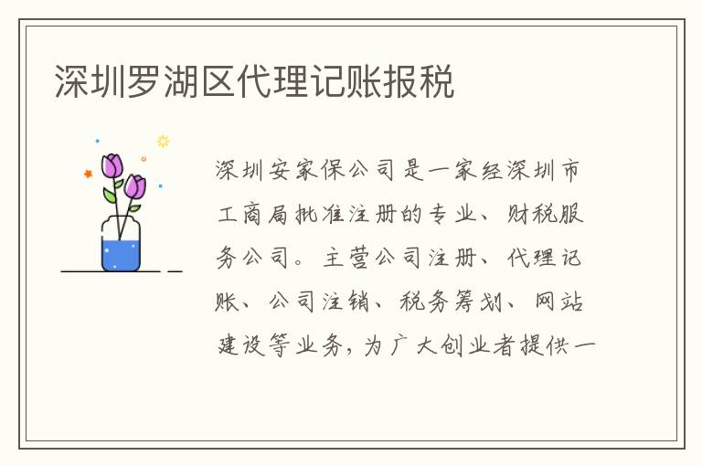 深圳羅湖區(qū)代理記賬報稅