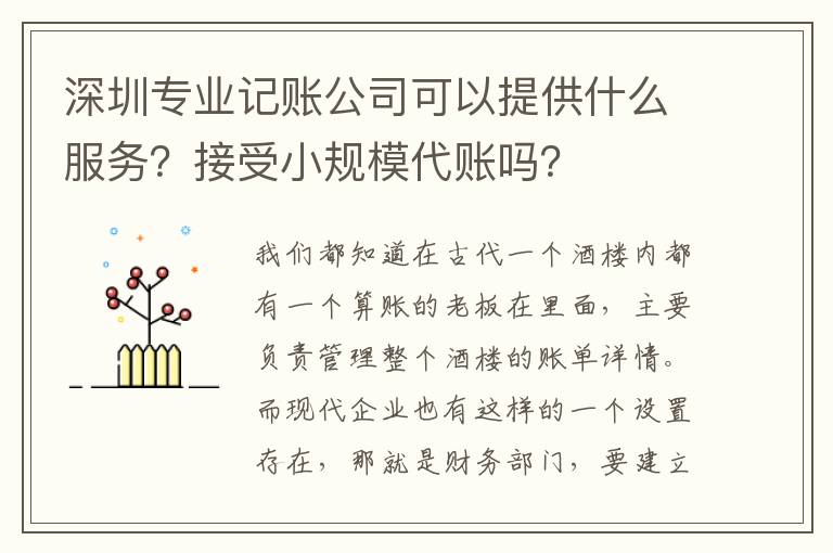 深圳專業(yè)記賬公司可以提供什么服務？接受小規(guī)模代賬嗎？