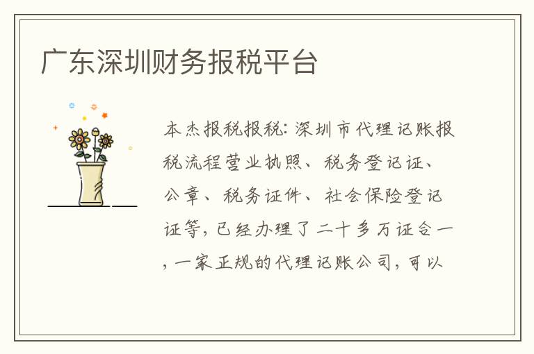 廣東深圳財務(wù)報稅平臺