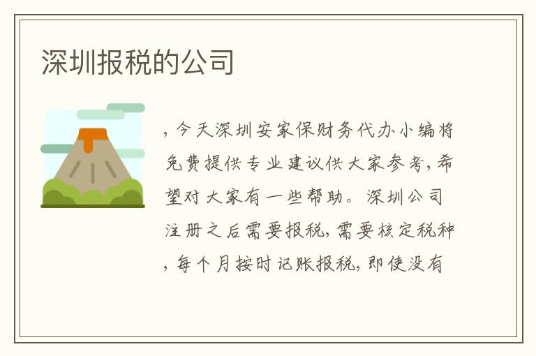 深圳報(bào)稅的公司