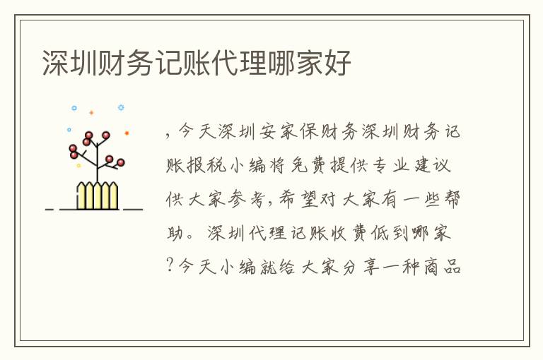 深圳財務(wù)記賬代理哪家好