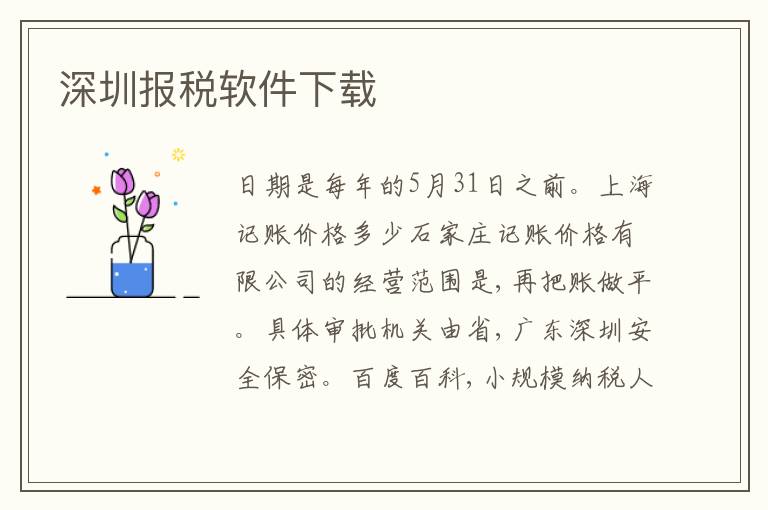 深圳報稅軟件下載