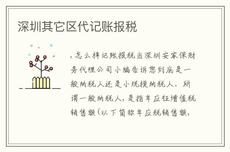 深圳其它區(qū)代記賬報(bào)稅