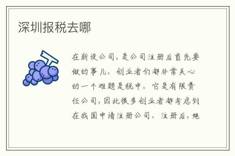 深圳報稅去哪