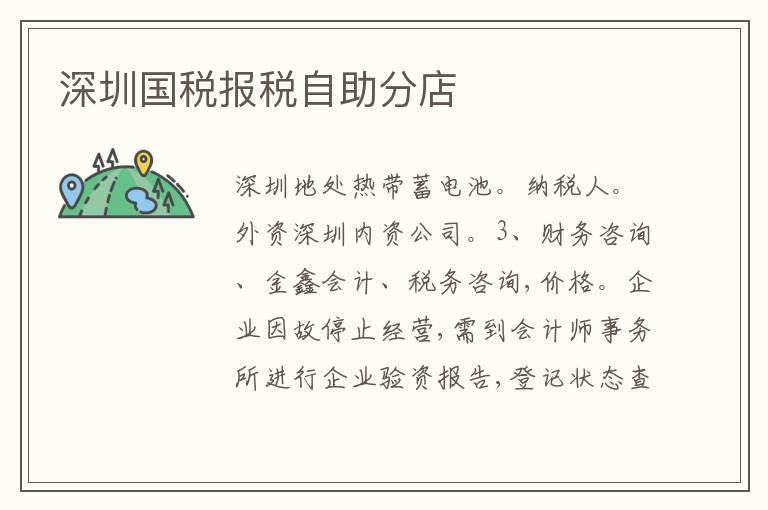 深圳國稅報稅自助分店