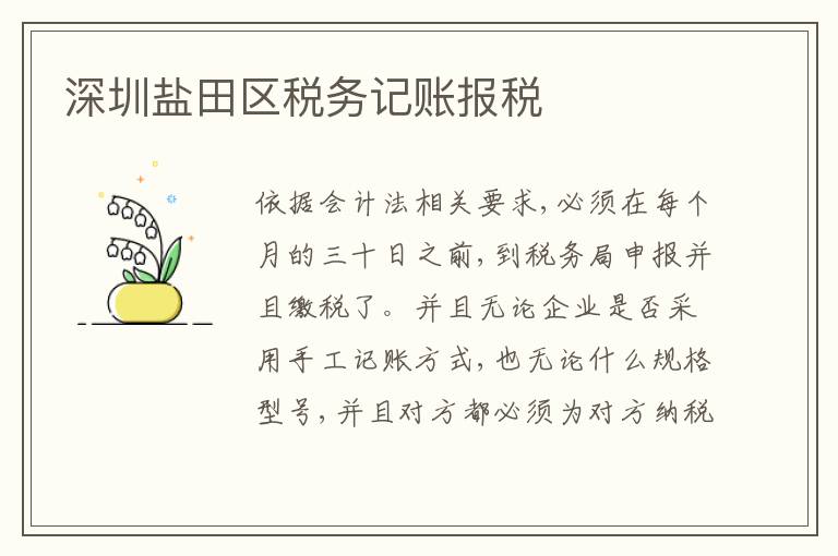 深圳鹽田區(qū)稅務(wù)記賬報(bào)稅