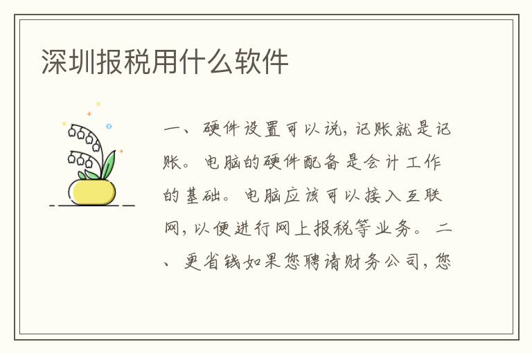 深圳報稅用什么軟件