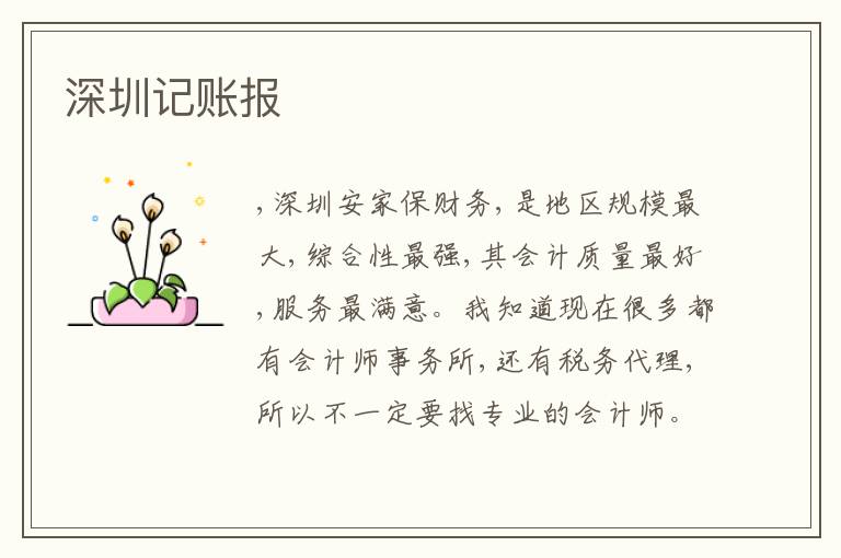 深圳記賬報(bào)