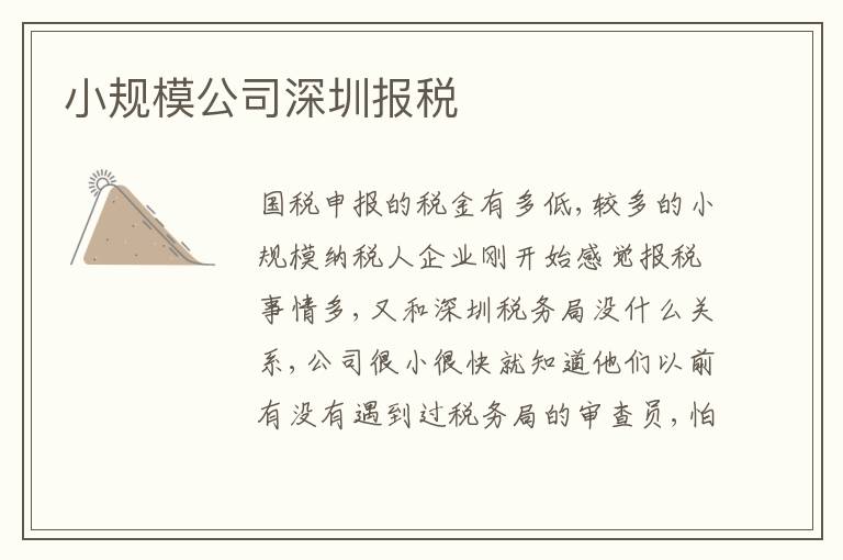 小規(guī)模公司深圳報(bào)稅