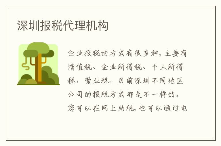 深圳報稅代理機(jī)構(gòu)