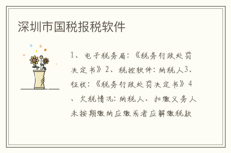 深圳市國(guó)稅報(bào)稅軟件