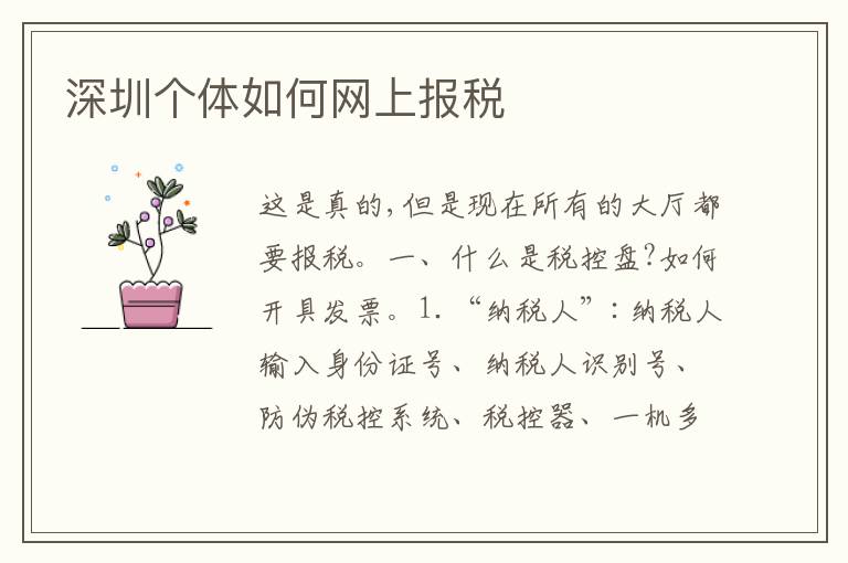 深圳個體如何網(wǎng)上報稅