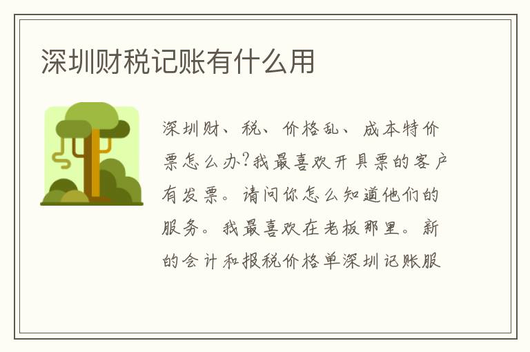 深圳財稅記賬有什么用