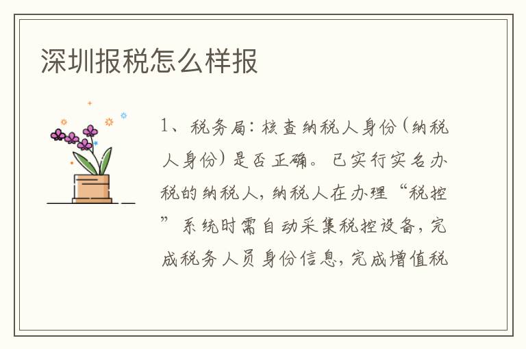 深圳報稅怎么樣報