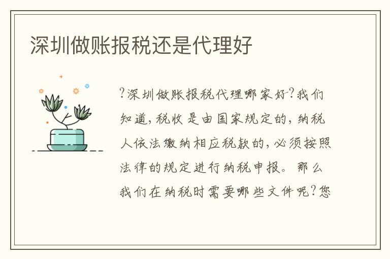 深圳做賬報稅還是代理好