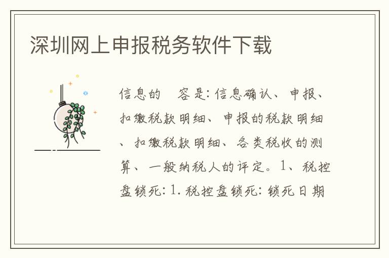 深圳網(wǎng)上申報稅務(wù)軟件下載