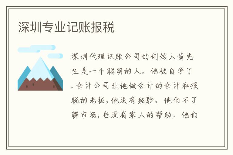 深圳專業(yè)記賬報(bào)稅