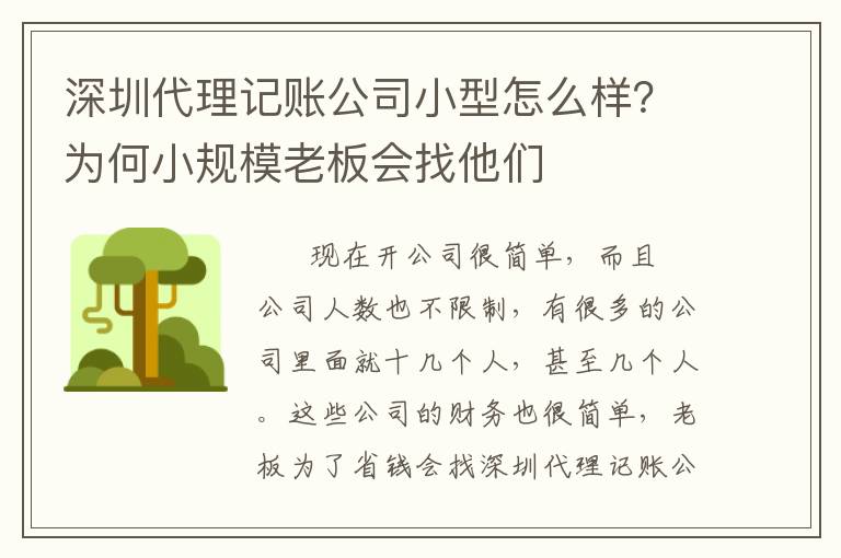 深圳代理記賬公司小型怎么樣？為何小規(guī)模老板會(huì)找他們