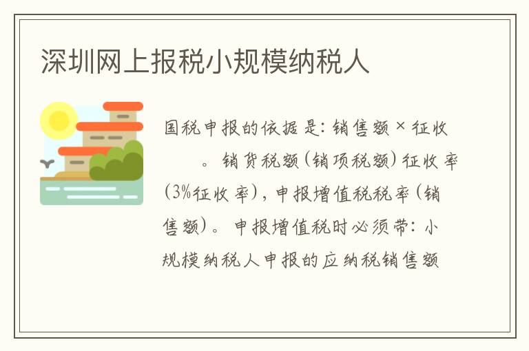 深圳網(wǎng)上報(bào)稅小規(guī)模納稅人