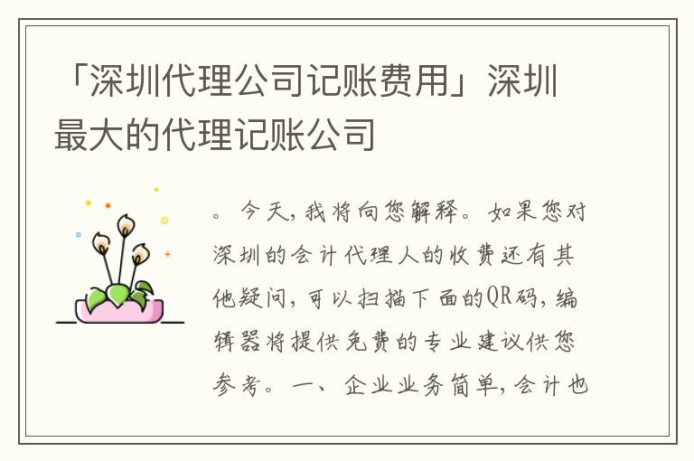 「深圳代理公司記賬費用」深圳最大的代理記賬公司