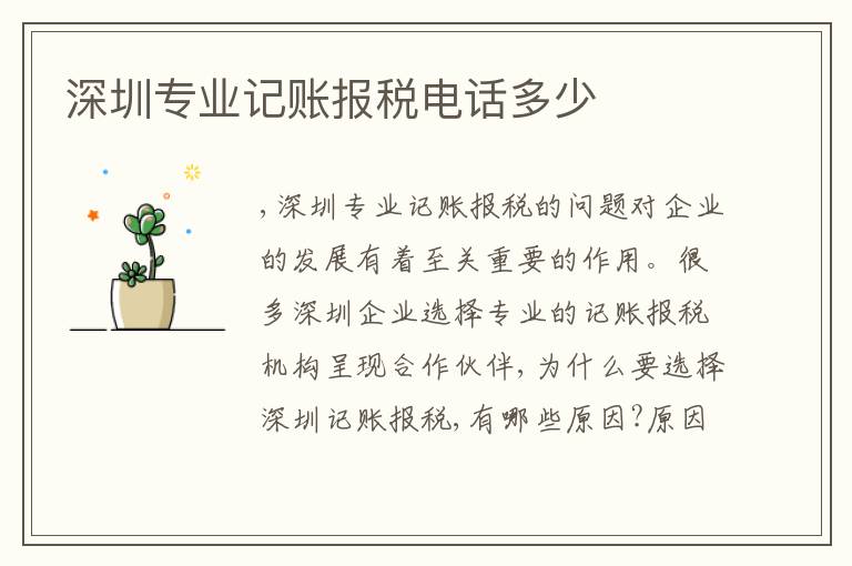 深圳專業(yè)記賬報(bào)稅電話多少