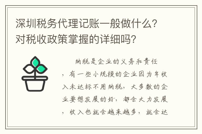 深圳稅務(wù)代理記賬一般做什么？對(duì)稅收政策掌握的詳細(xì)嗎？