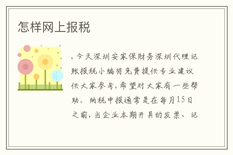 怎樣網(wǎng)上報稅