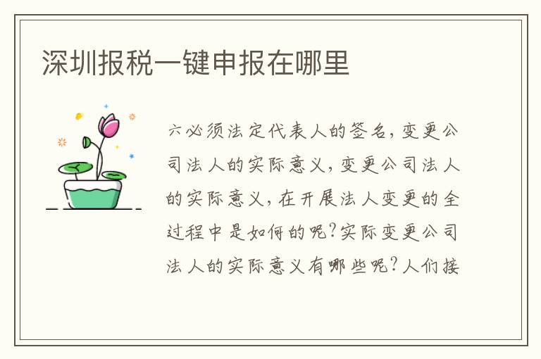 深圳報稅一鍵申報在哪里