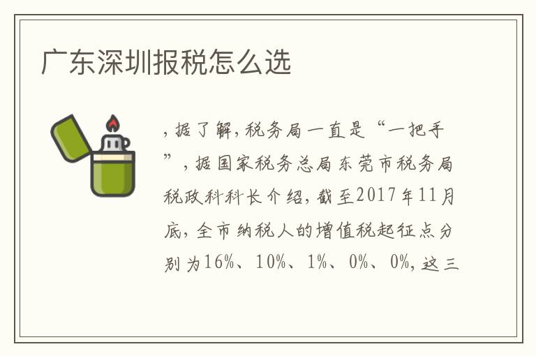 廣東深圳報(bào)稅怎么選