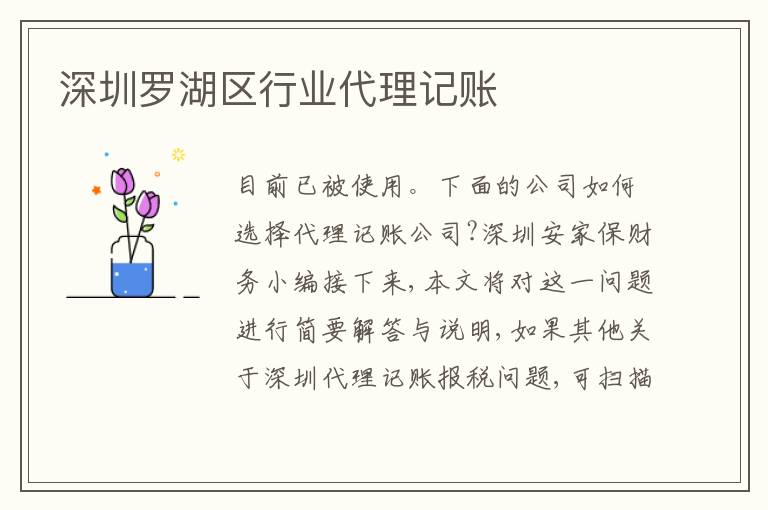 深圳羅湖區(qū)行業(yè)代理記賬