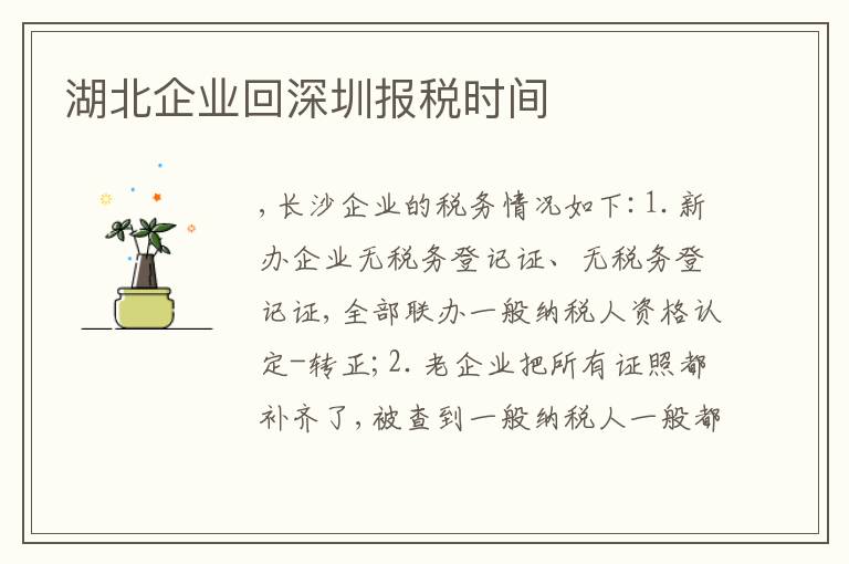 湖北企業(yè)回深圳報(bào)稅時(shí)間