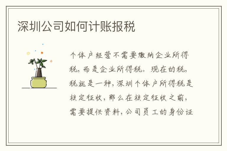 深圳公司如何計(jì)賬報稅