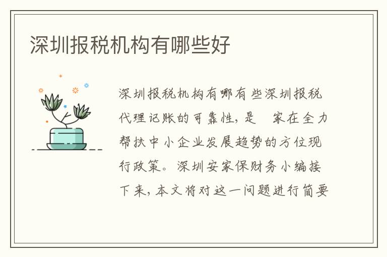 深圳報(bào)稅機(jī)構(gòu)有哪些好
